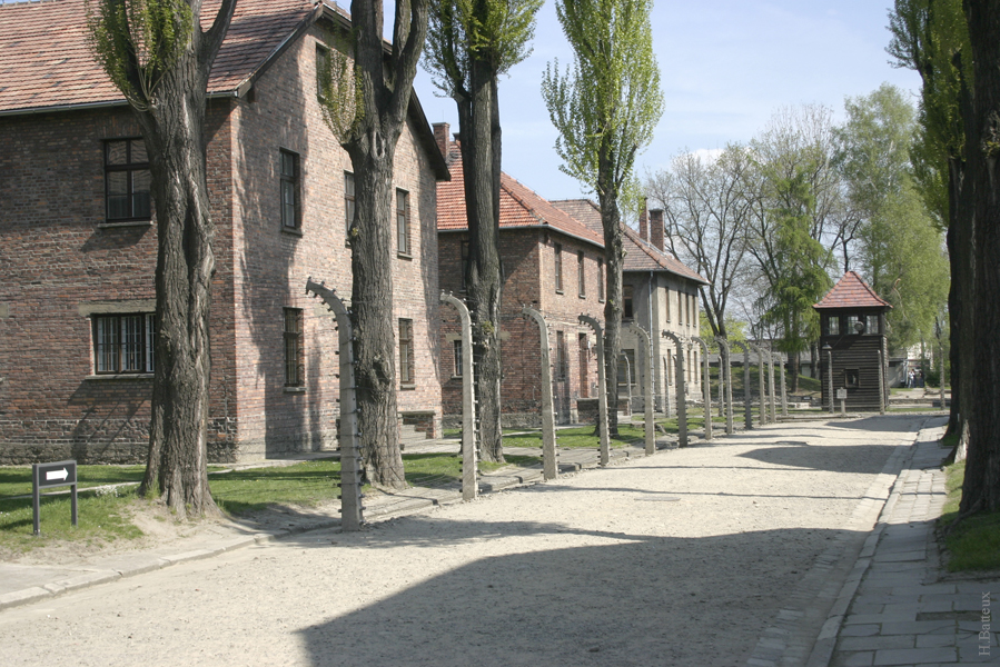 Auschwitz 08