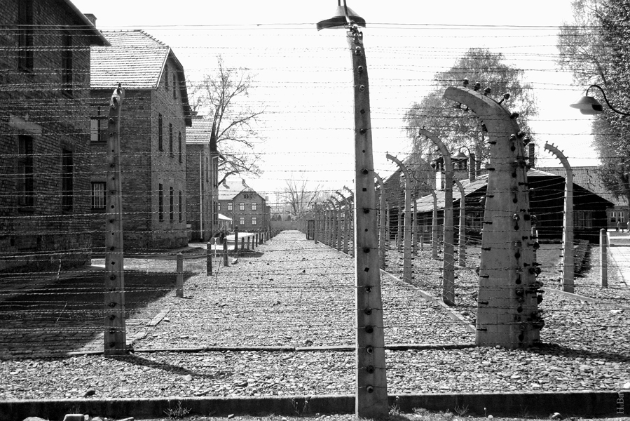 Auschwitz 19